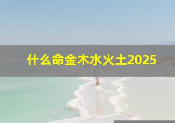 什么命金木水火土2025