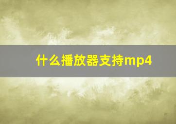 什么播放器支持mp4