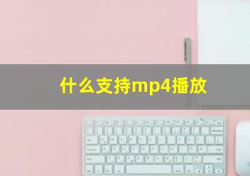 什么支持mp4播放