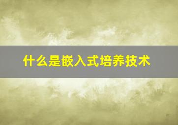 什么是嵌入式培养技术