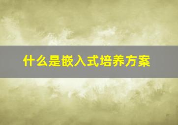 什么是嵌入式培养方案