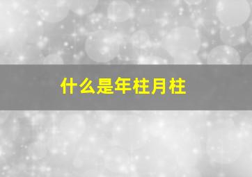 什么是年柱月柱