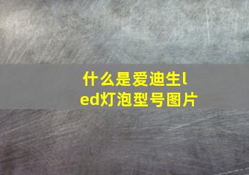 什么是爱迪生led灯泡型号图片