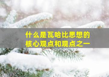 什么是瓦哈比思想的核心观点和观点之一