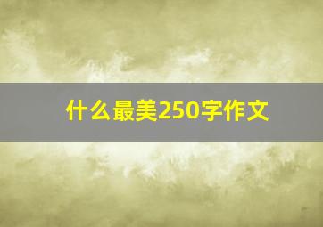 什么最美250字作文