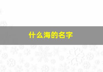 什么海的名字