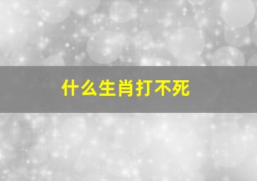 什么生肖打不死