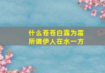 什么苍苍白露为霜所谓伊人在水一方