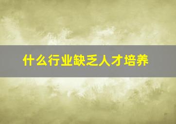 什么行业缺乏人才培养