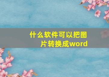 什么软件可以把图片转换成word