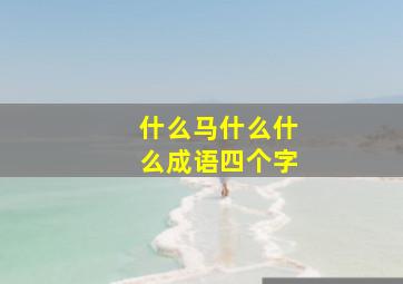 什么马什么什么成语四个字