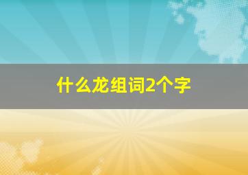 什么龙组词2个字