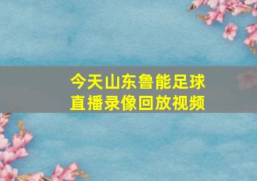 今天山东鲁能足球直播录像回放视频