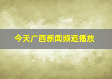 今天广西新闻频道播放