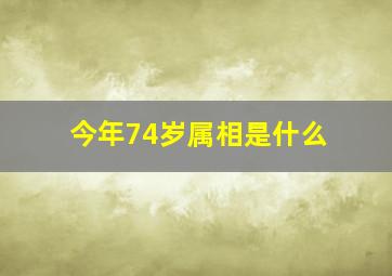 今年74岁属相是什么