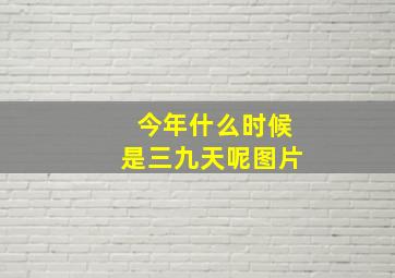 今年什么时候是三九天呢图片