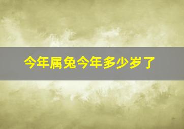 今年属兔今年多少岁了