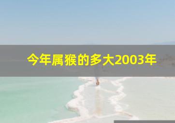 今年属猴的多大2003年