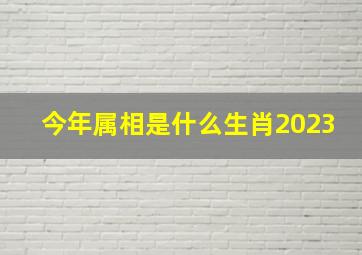 今年属相是什么生肖2023