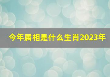 今年属相是什么生肖2023年