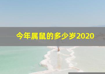 今年属鼠的多少岁2020