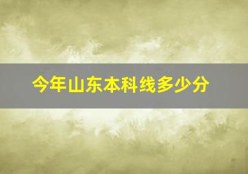 今年山东本科线多少分