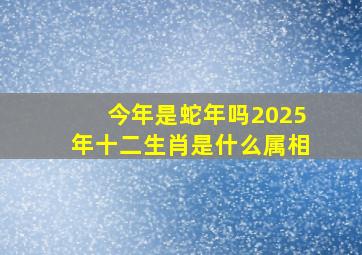 今年是蛇年吗2025年十二生肖是什么属相