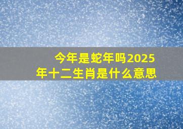 今年是蛇年吗2025年十二生肖是什么意思