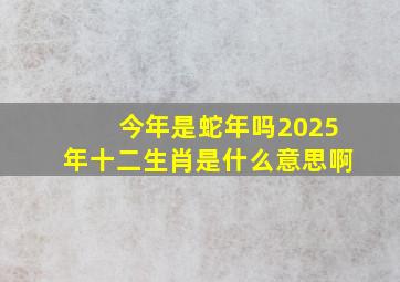 今年是蛇年吗2025年十二生肖是什么意思啊