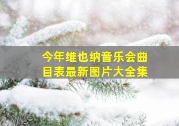 今年维也纳音乐会曲目表最新图片大全集