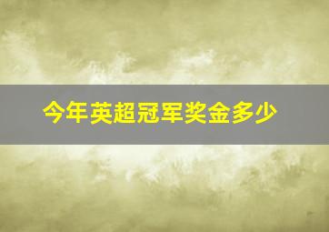 今年英超冠军奖金多少