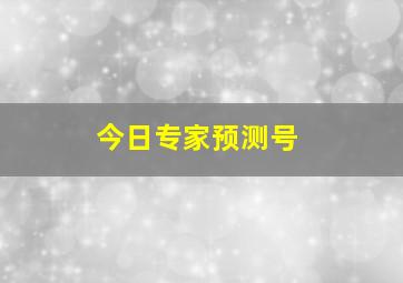 今日专家预测号