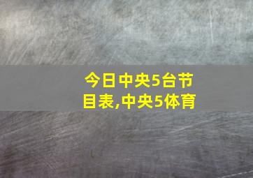 今日中央5台节目表,中央5体育