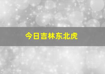 今日吉林东北虎