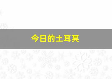 今日的土耳其