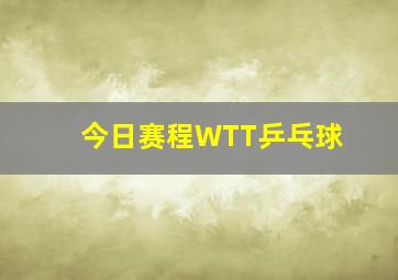 今日赛程WTT乒乓球