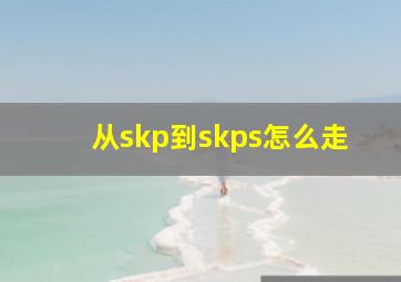 从skp到skps怎么走