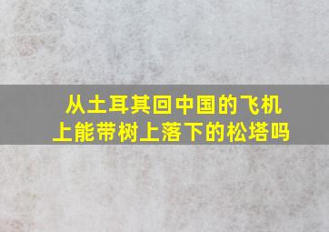 从土耳其回中国的飞机上能带树上落下的松塔吗