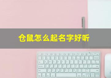 仓鼠怎么起名字好听