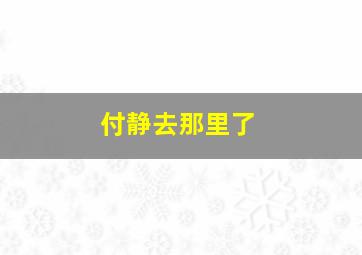 付静去那里了