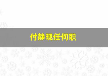 付静现任何职