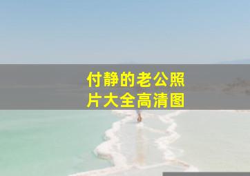 付静的老公照片大全高清图