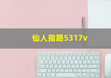 仙人指路5317v