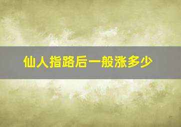 仙人指路后一般涨多少