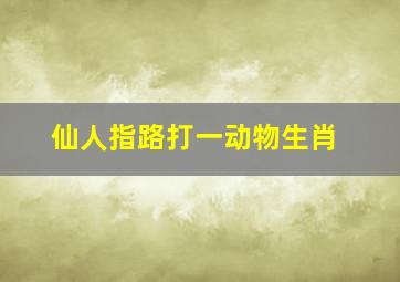 仙人指路打一动物生肖