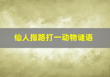 仙人指路打一动物谜语