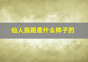 仙人指路是什么样子的