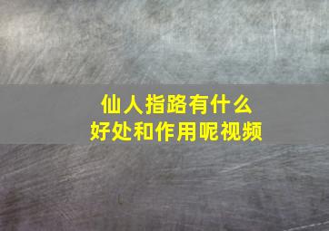 仙人指路有什么好处和作用呢视频