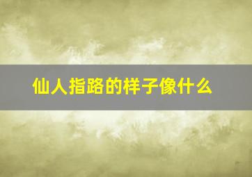 仙人指路的样子像什么