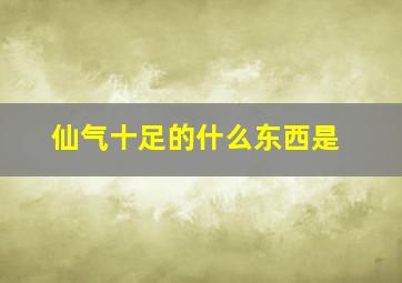 仙气十足的什么东西是